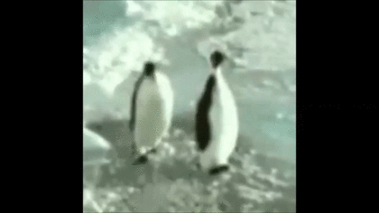 【芸能人の画像禁止】笑いのツボが浅いガル民に見せたい画像やgifが集まるトピ【悪意禁止】part8