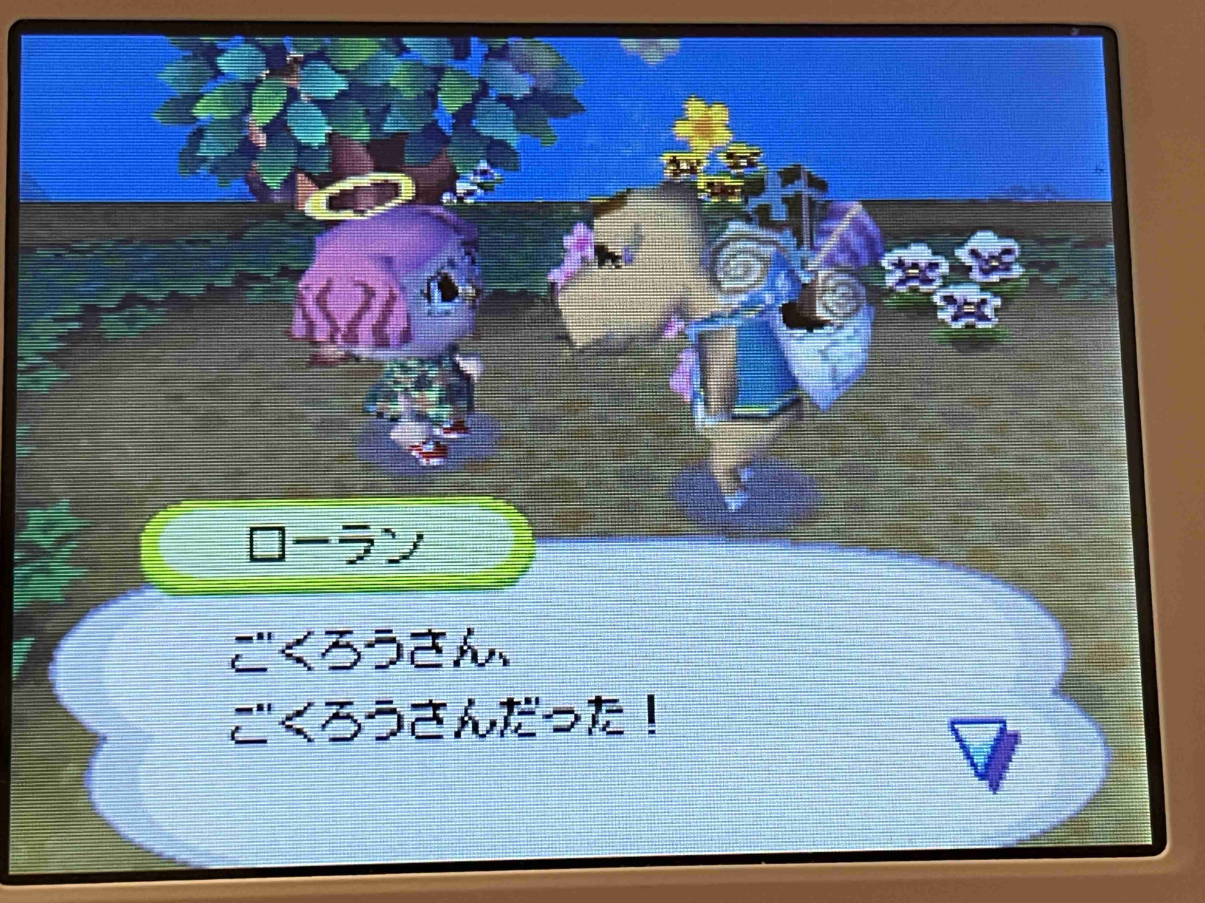 【DS】おいでよどうぶつの森やってる(た)人【20周年】