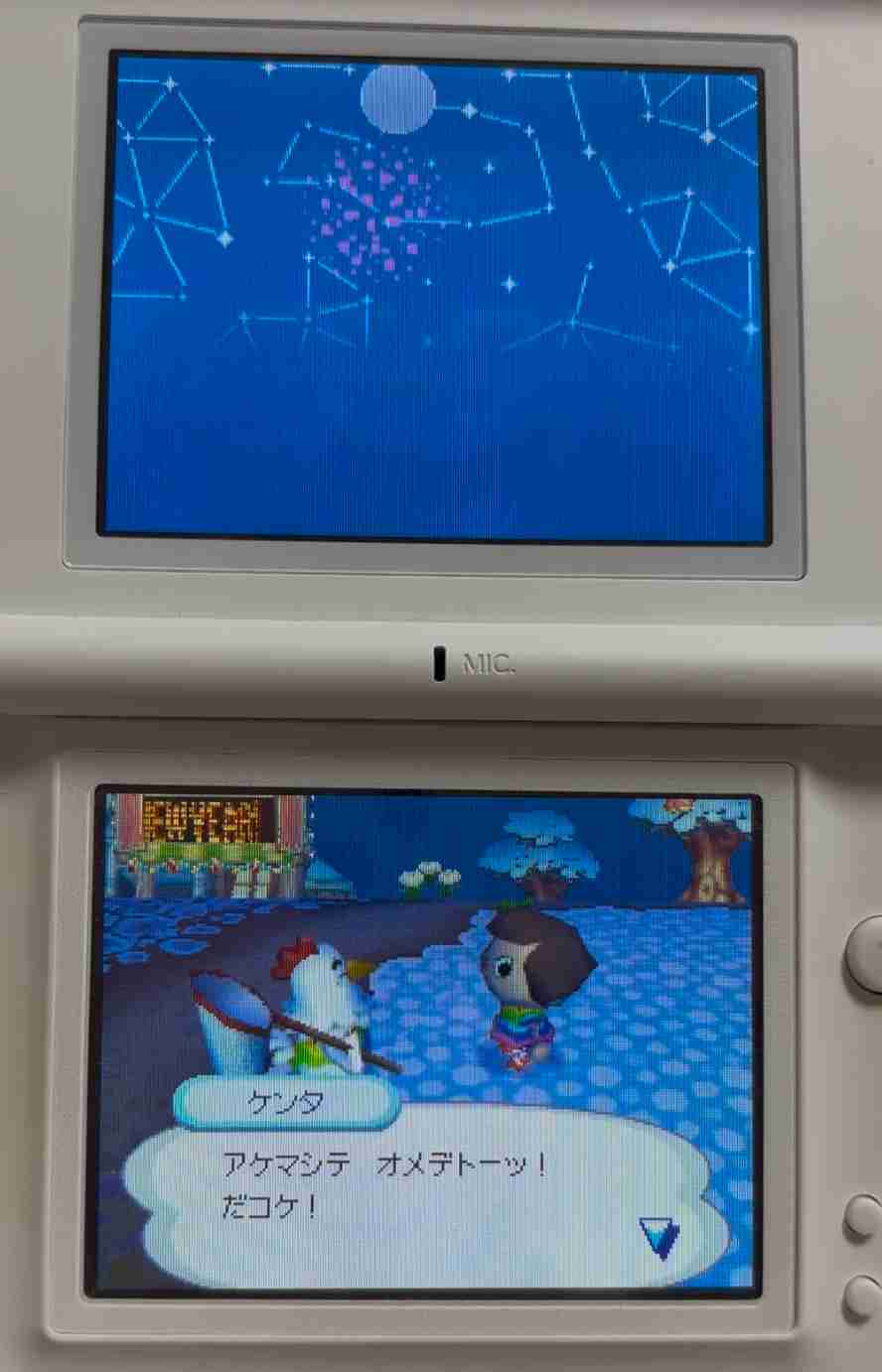 【DS】おいでよどうぶつの森やってる(た)人【20周年】
