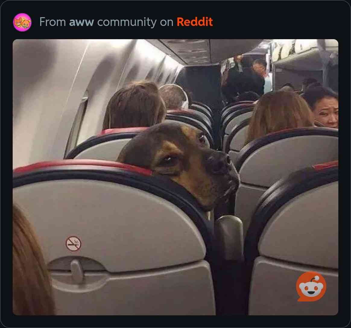 新幹線、愛犬と同乗　25年中に試験運行―JR東海社長