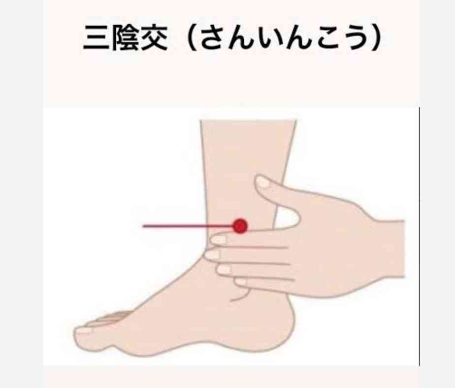 【雑談】眠くなるまで心穏やかに雑談しましょう