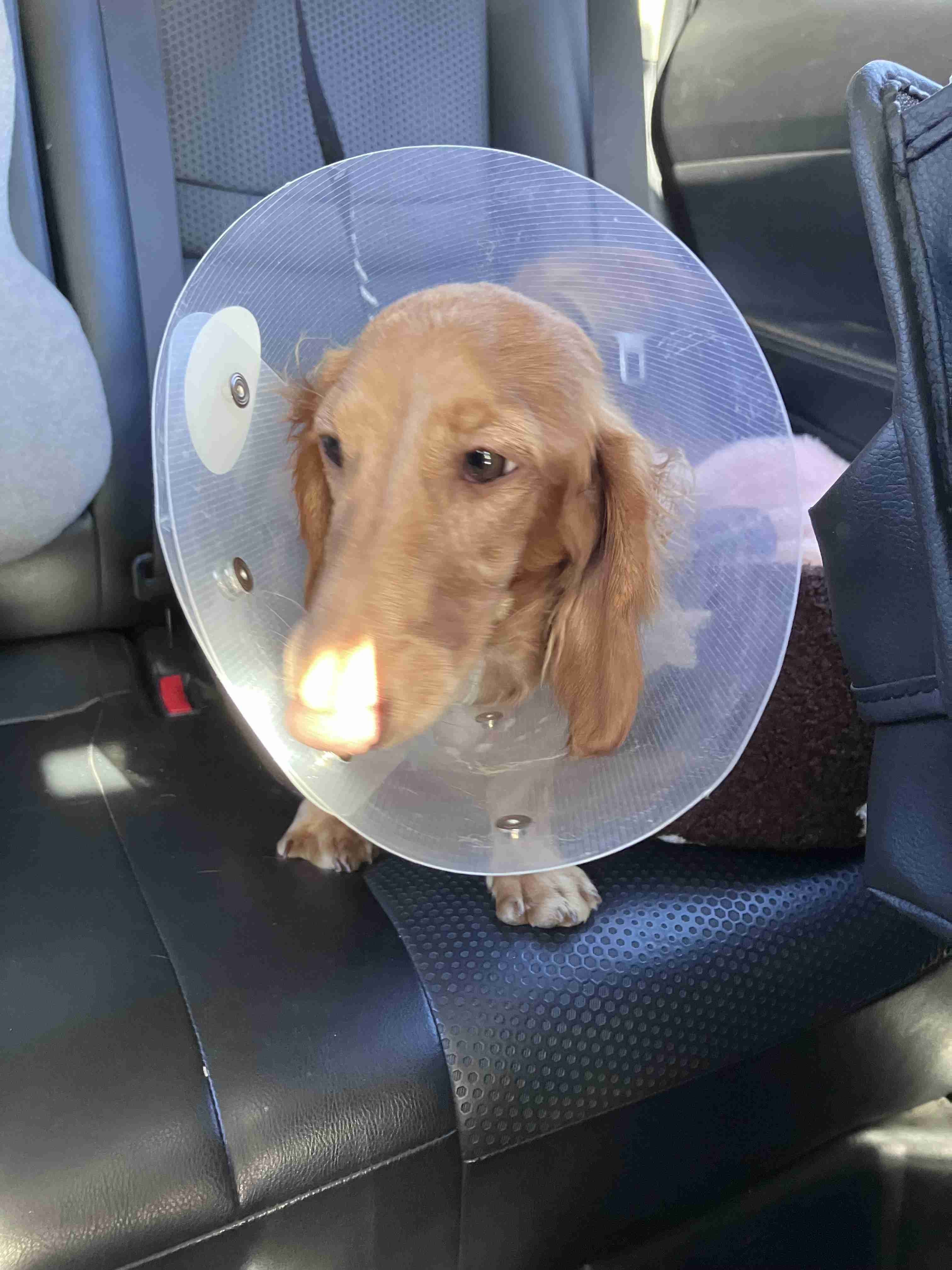 今月の雑談トピ【2025年1月】