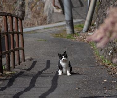 スーパーでイラっとする事
