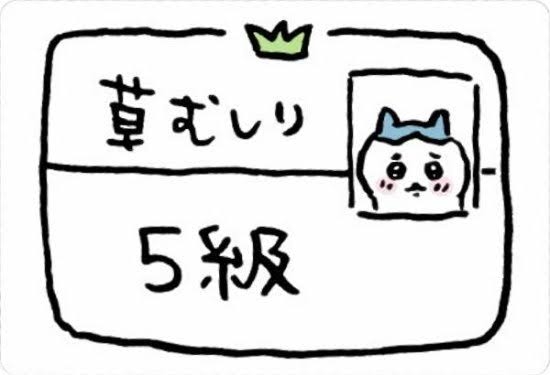 影山優佳 いずれは国家資格を取得する！？資格18個所持の才女が明かす勉強法「気分転換のために場所を移動」「タスク管理はアバウトに」
