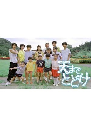 久しぶりに観たくなってきた昼ドラ
