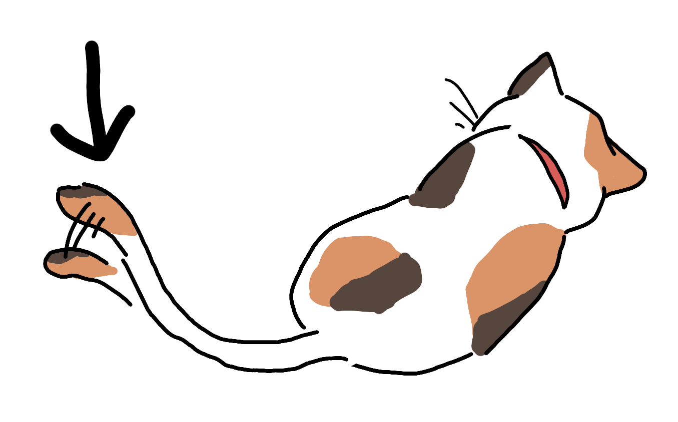 絵しりとりしませんか