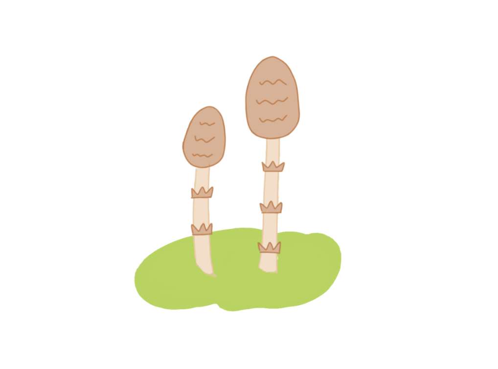 絵しりとりしませんか