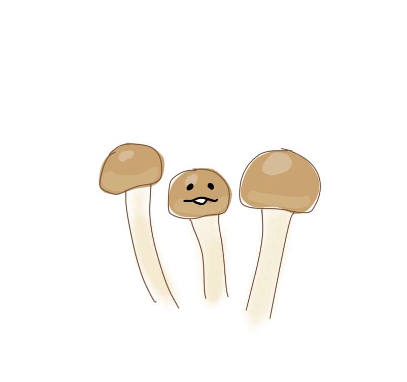 絵しりとりしませんか