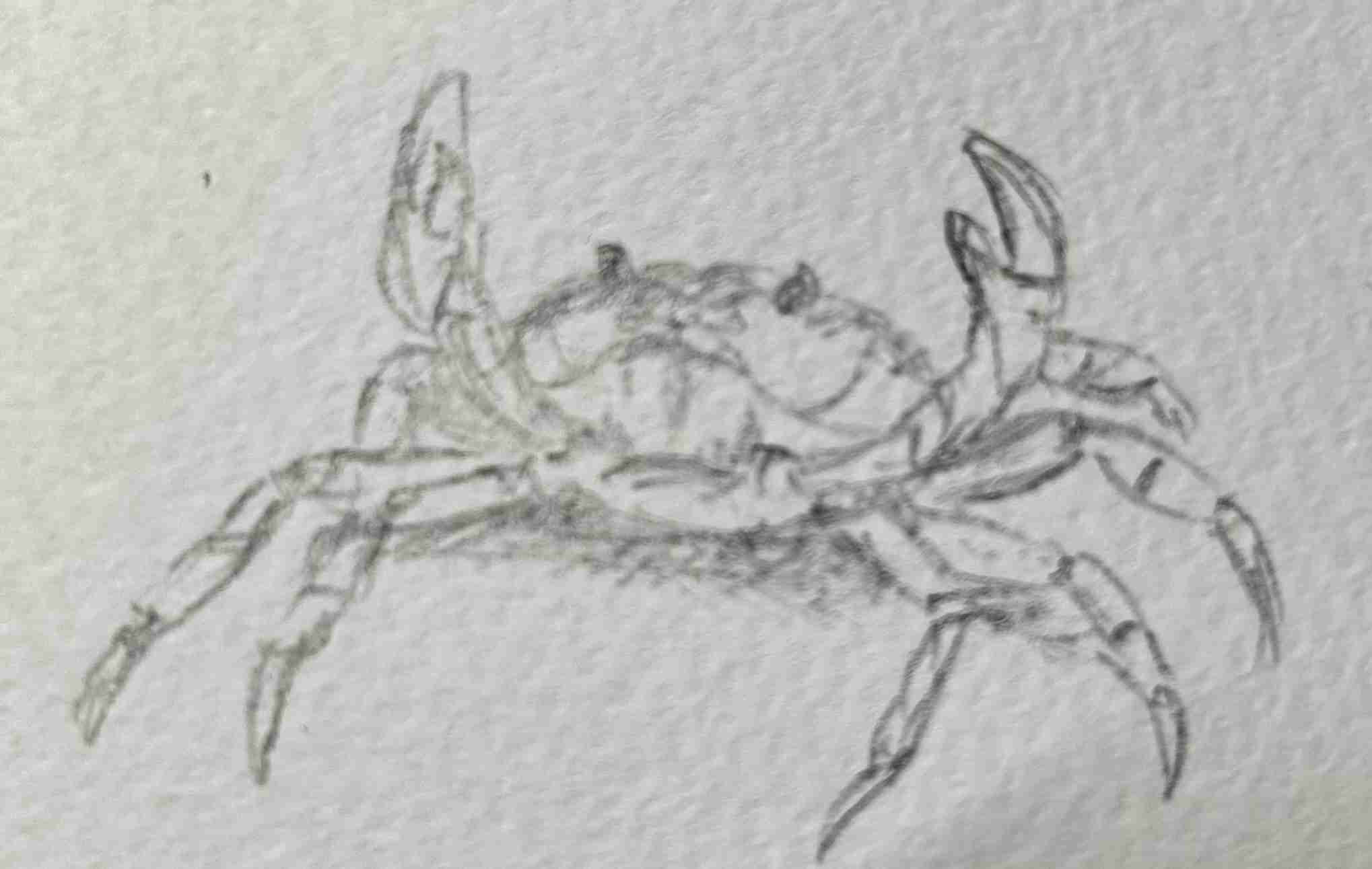 絵しりとりしませんか