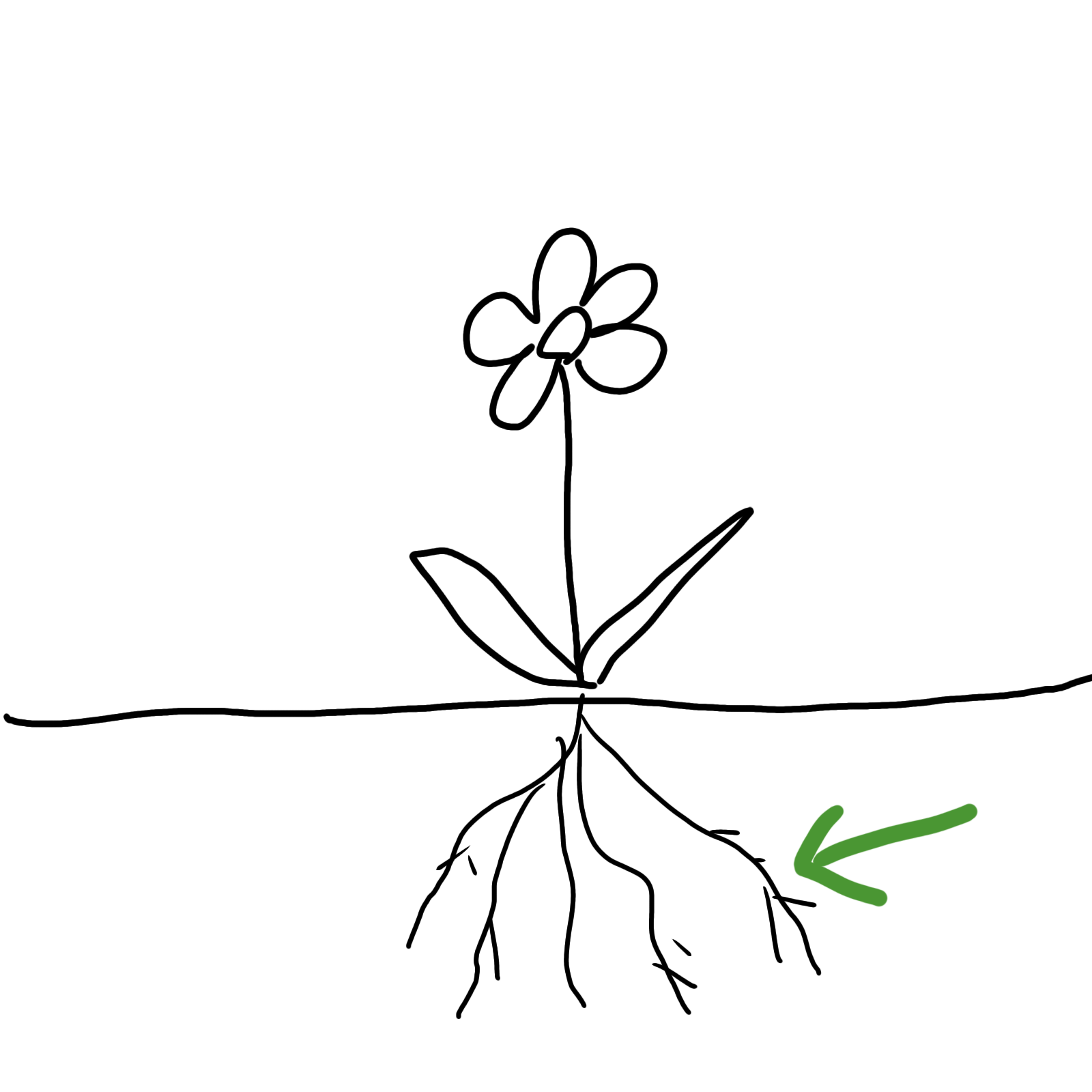 絵しりとりしませんか