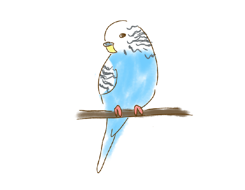 絵しりとりしませんか