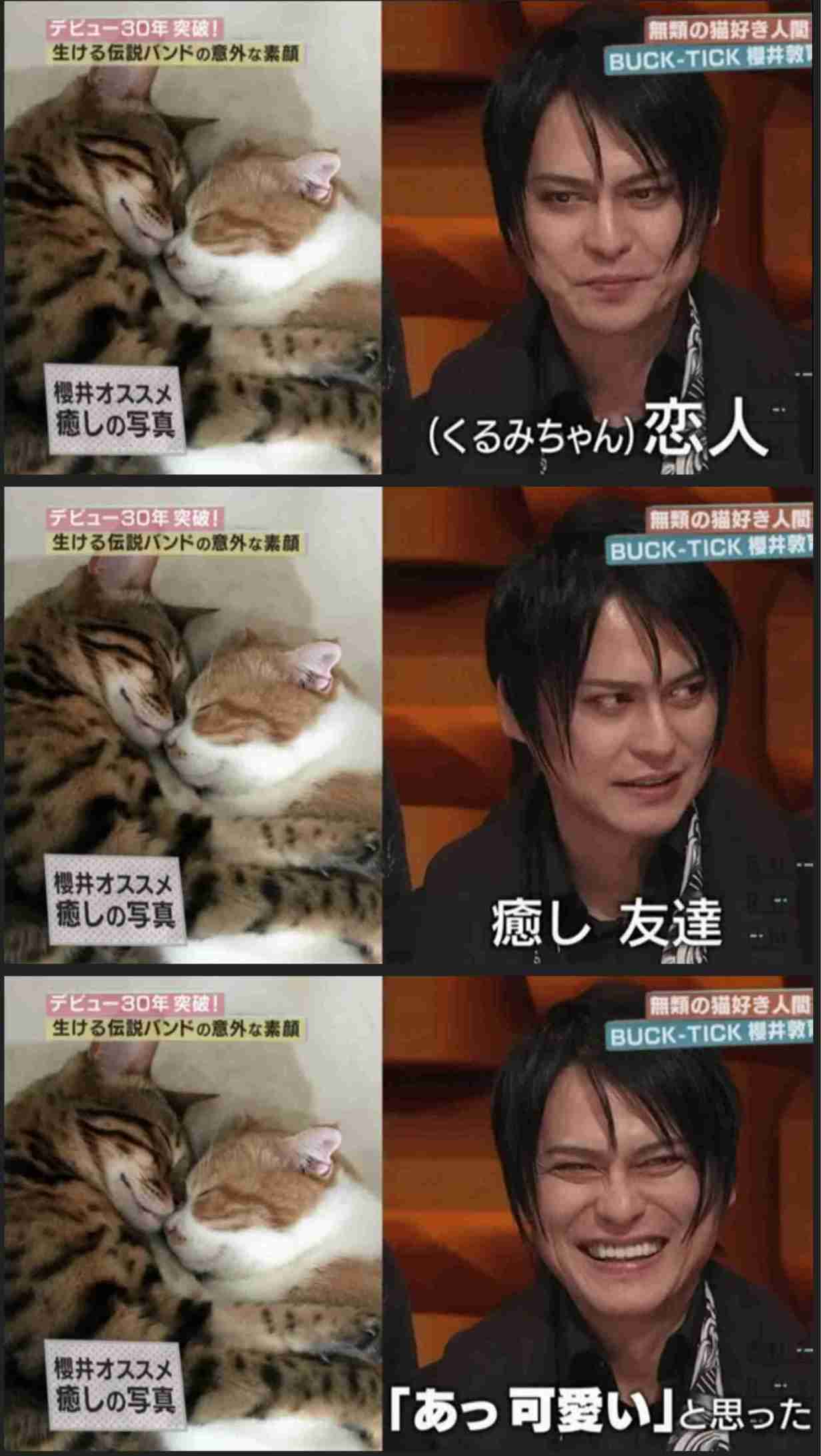 【定期】あっちゃん(櫻井敦司さん)を語りたい
