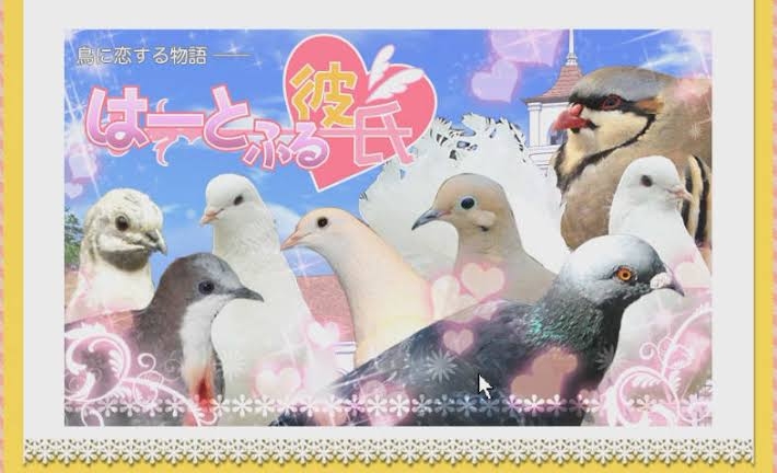 特殊な乙女ゲーム