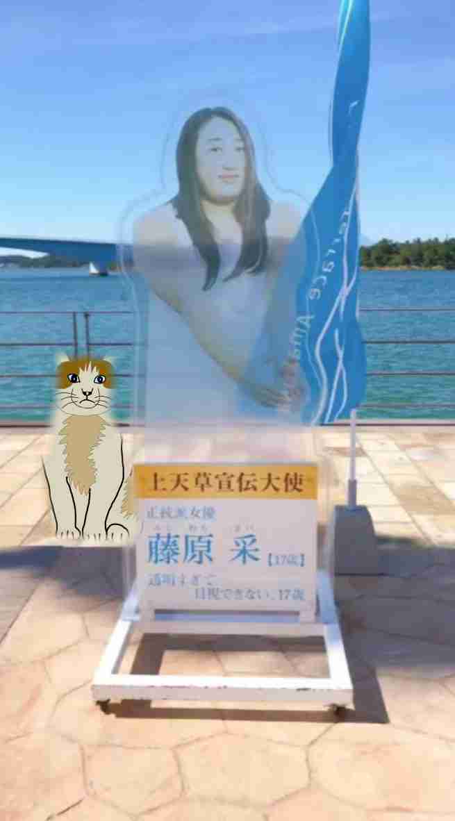【コラトピ】この子をどこかに連れてってください