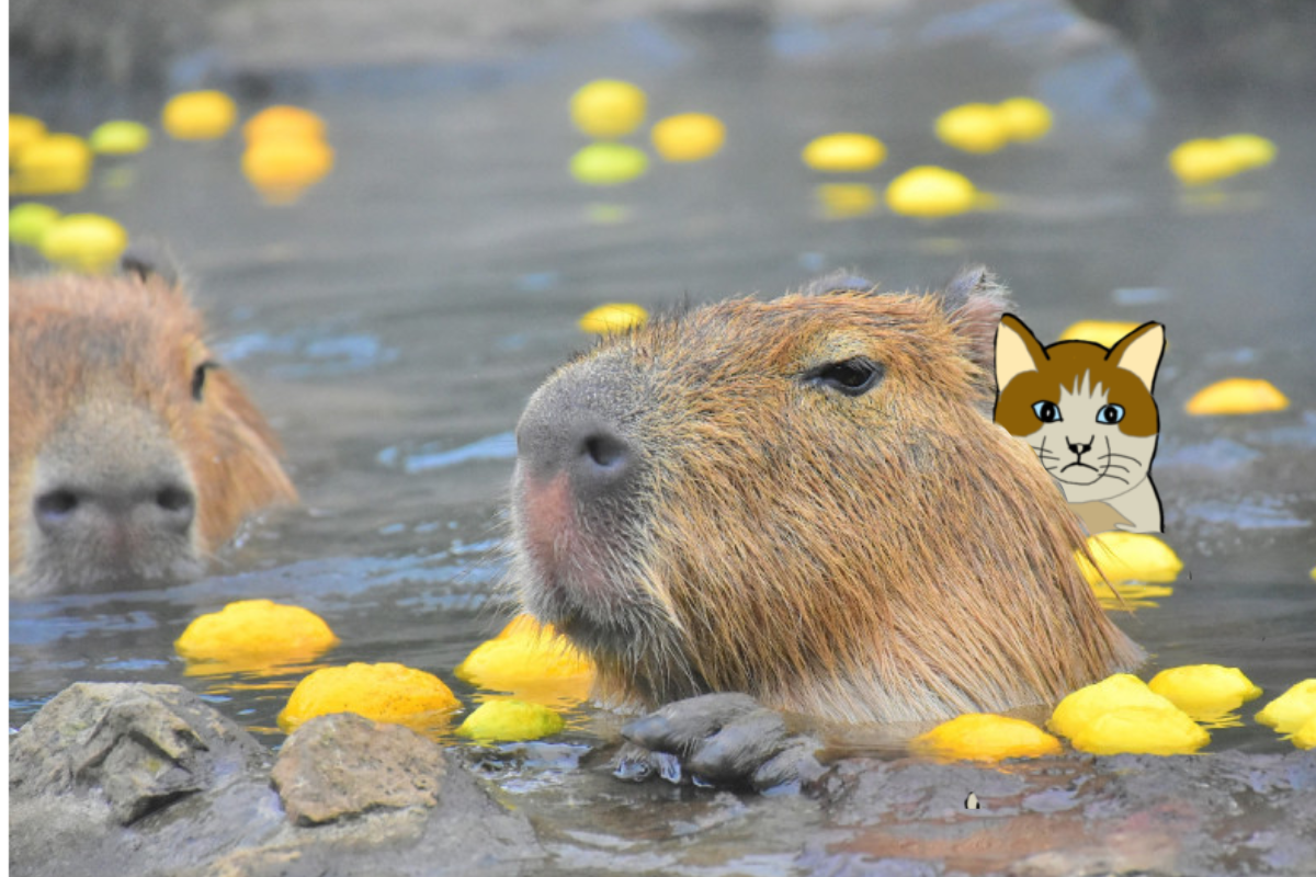 【コラトピ】この子をどこかに連れてってください