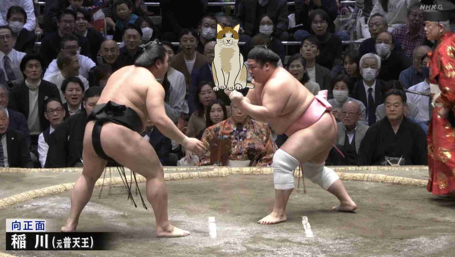 【コラトピ】この子をどこかに連れてってください