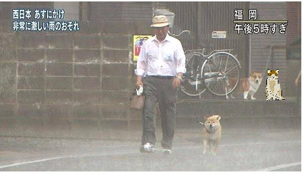 【コラトピ】この子をどこかに連れてってください