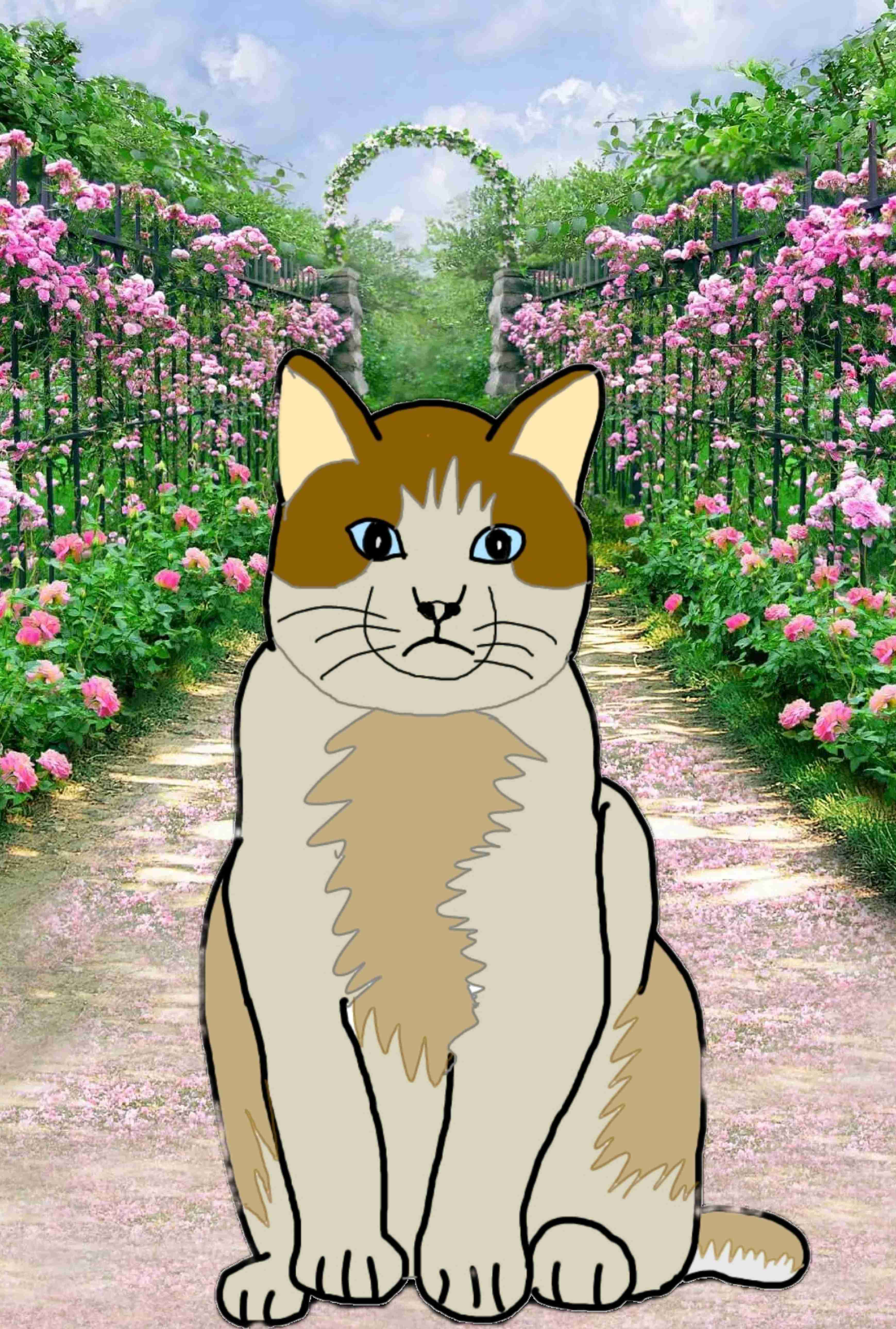 【コラトピ】この子をどこかに連れてってください