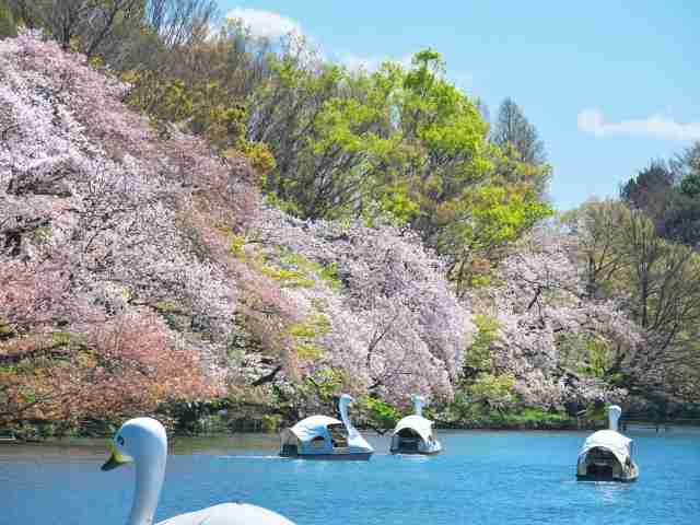 「僕には生活費すらない」地方公立校から塾ナシで東大合格→仕送りナシで“貧困生活”…地方出身の東大生が、入学後に突きつけられた“厳しい現実”