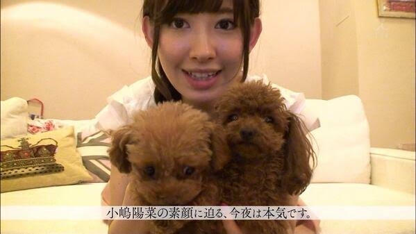 ペットの強制給餌について（老犬食事）