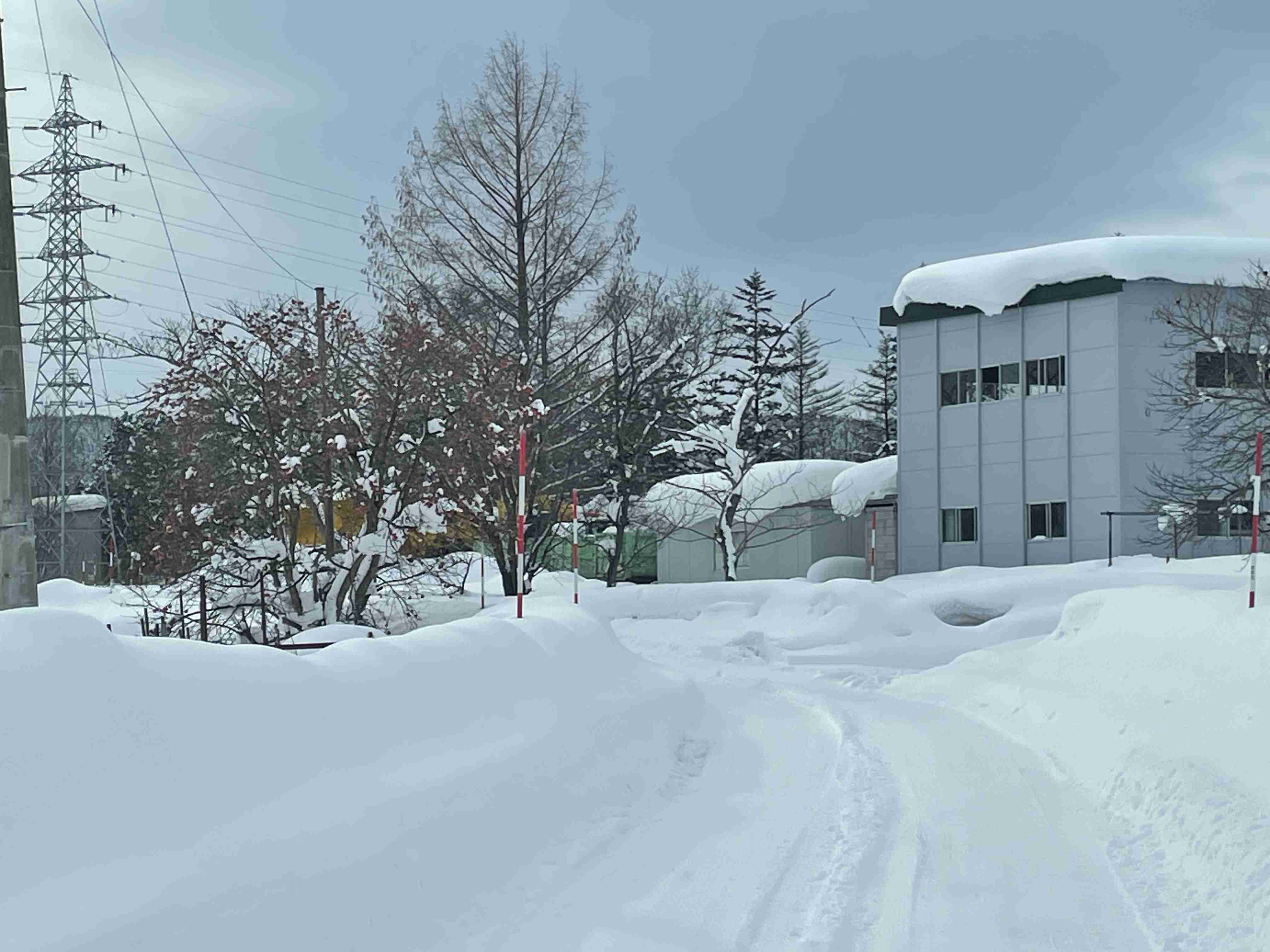 青森市「豪雪災害対策本部」設置 積雪100cm超え「市民の暮らしを守るため各部局が一層連携して除排雪に総力を挙げ取り組む」