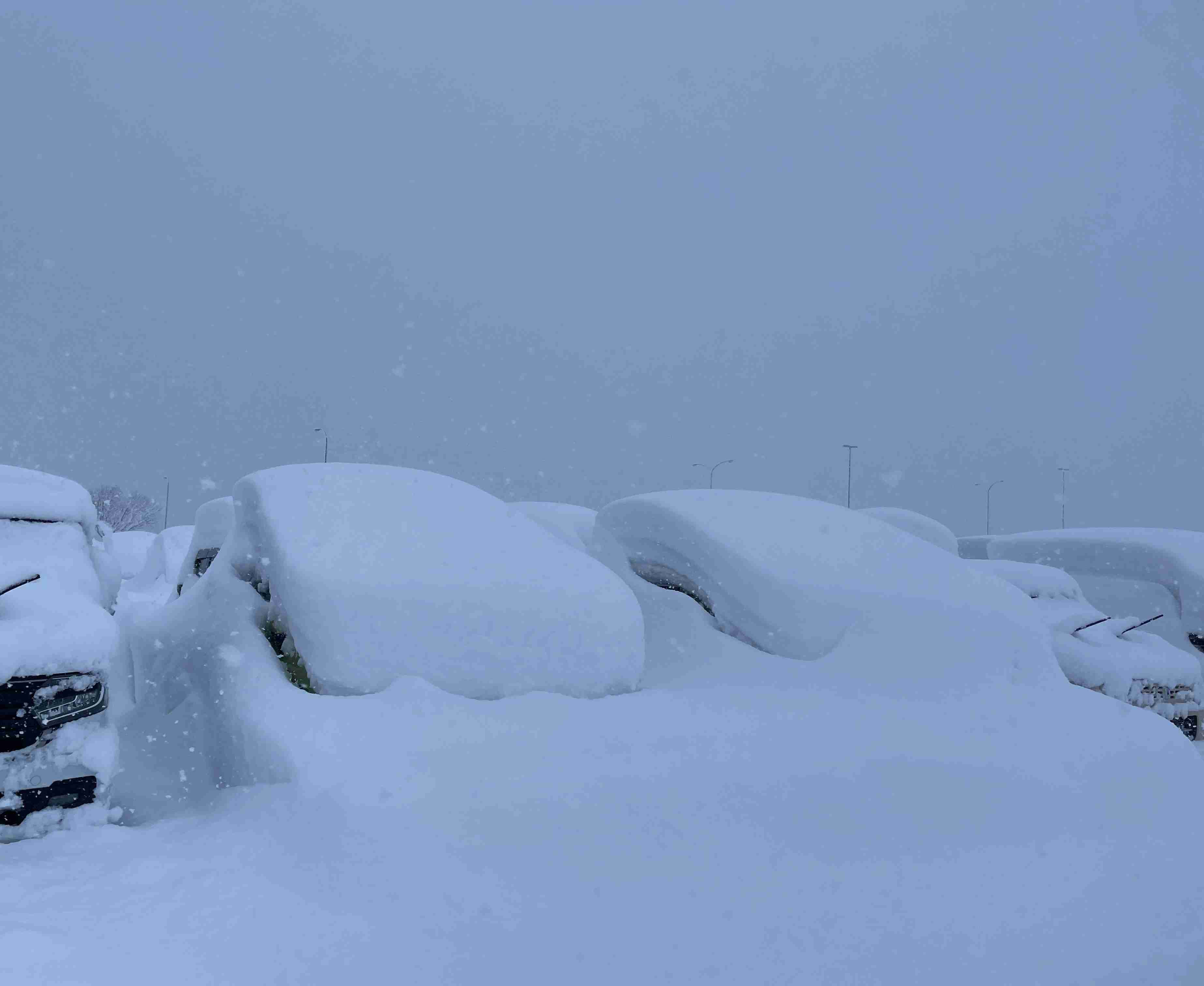 青森市「豪雪災害対策本部」設置 積雪100cm超え「市民の暮らしを守るため各部局が一層連携して除排雪に総力を挙げ取り組む」