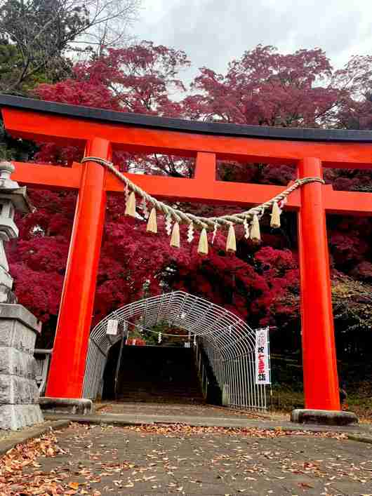 神社の雰囲気が好き