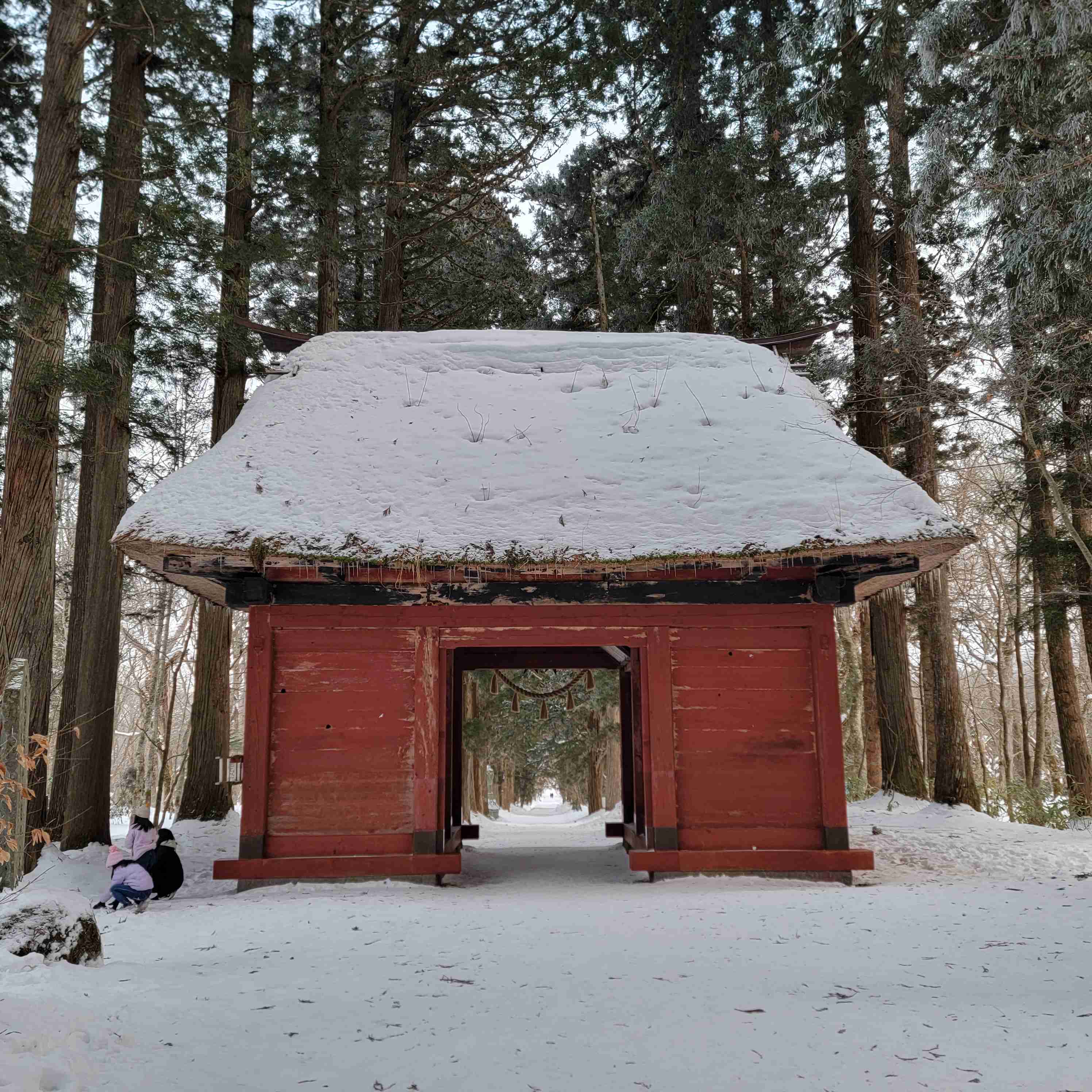 神社の雰囲気が好き