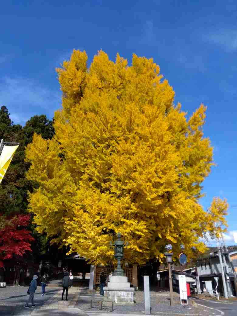 神社の雰囲気が好き