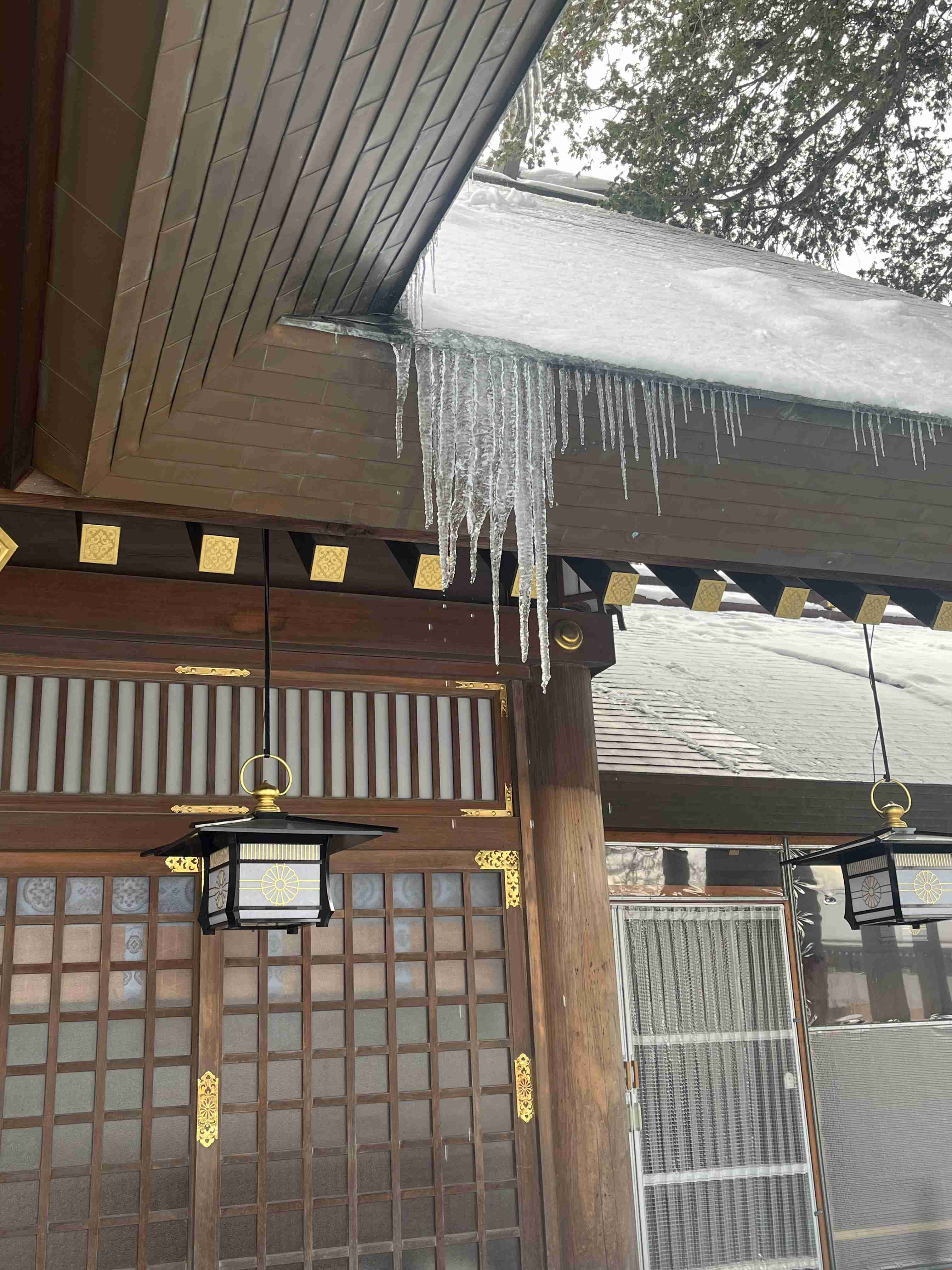 神社の雰囲気が好き