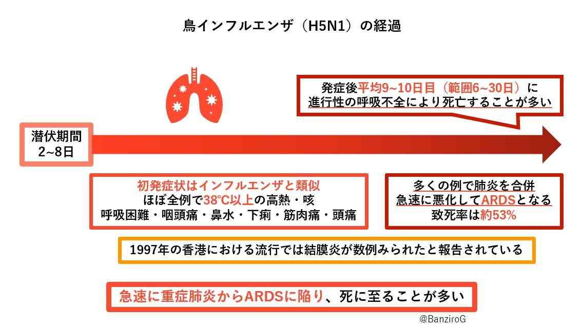 鶏卵高騰「エッグショック」懸念、鳥インフル急拡大で殺処分が最悪ペース…業者「防ぎきれない」