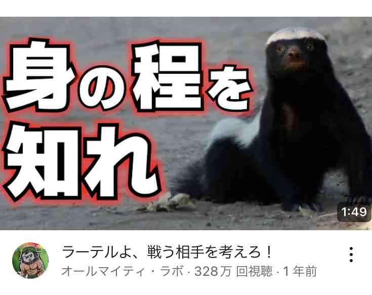チャンネル登録しているYouTuberにプラス