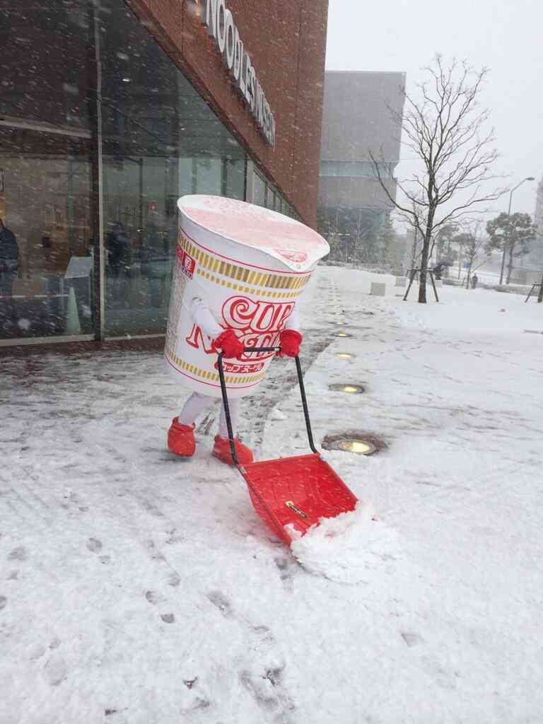 雪が殆ど降らない地域あるある