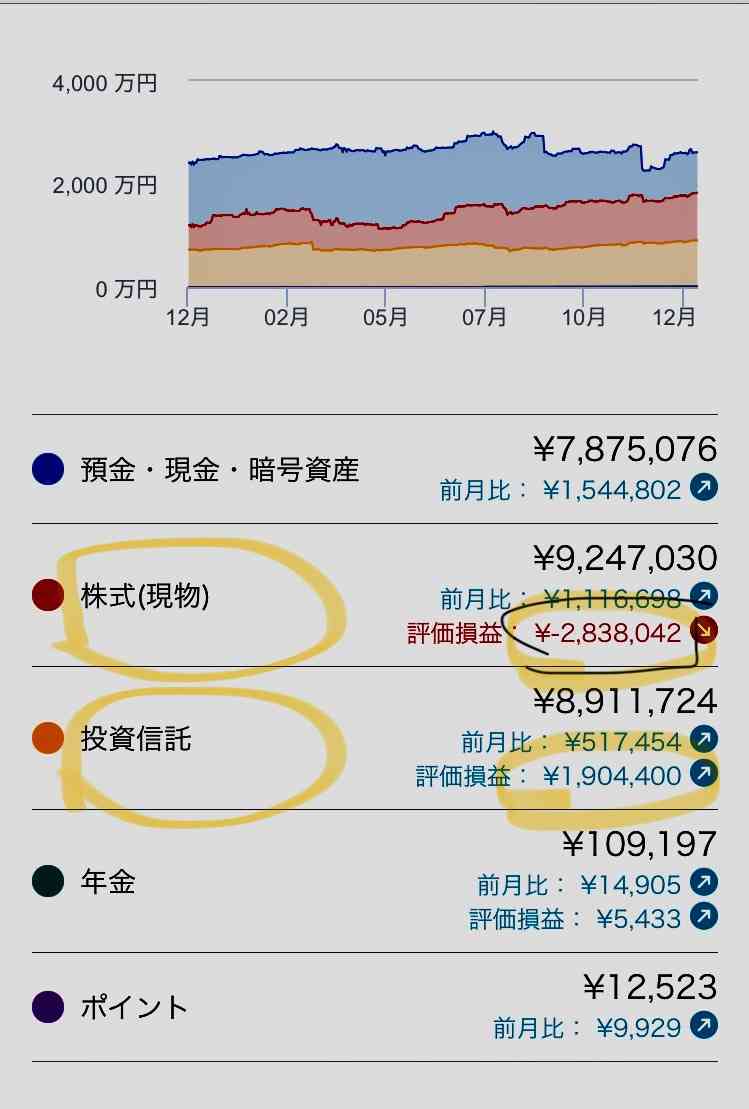 「新NISAでオルカン、S&P500のつみたて投資」では幸せになれない…3億円を築いた投資家が個別株を勧めるワケ