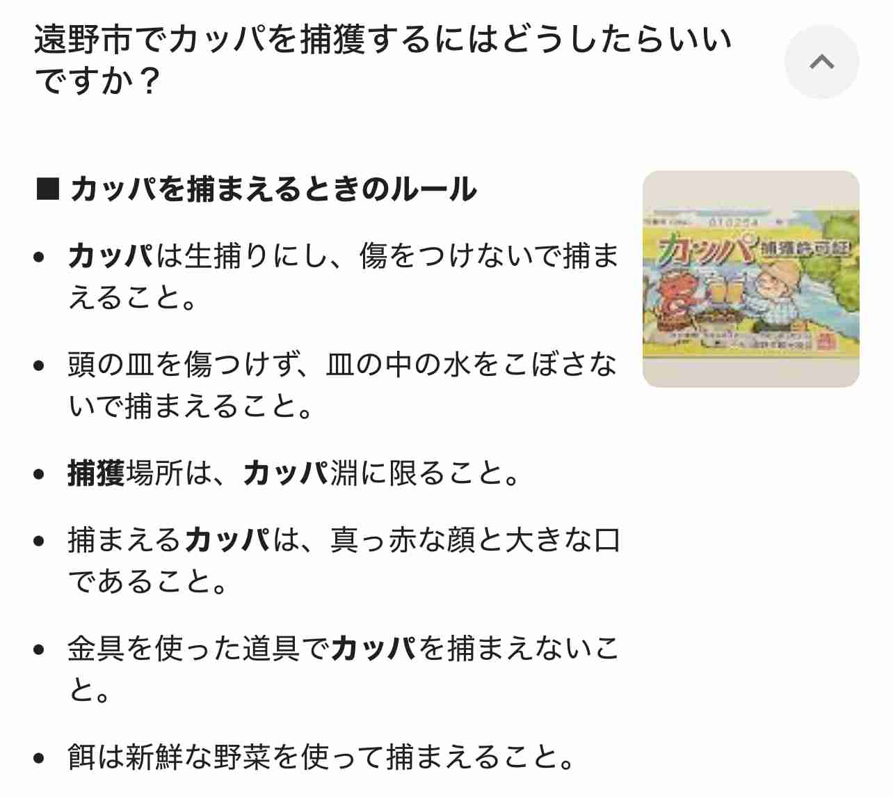 誰も信じないだろうけど本当に目撃したもの(したこと)