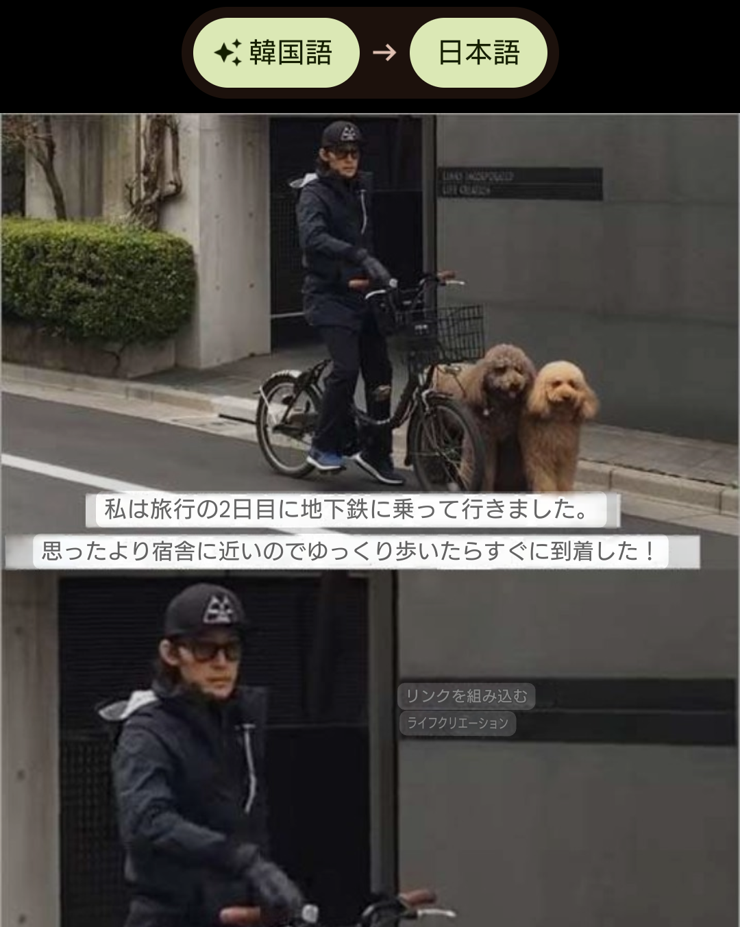 誰も信じないだろうけど本当に目撃したもの(したこと)