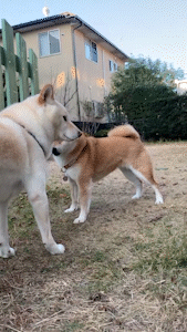 『うっとうしい』と思う人、思うこと、思うものを書くトピ