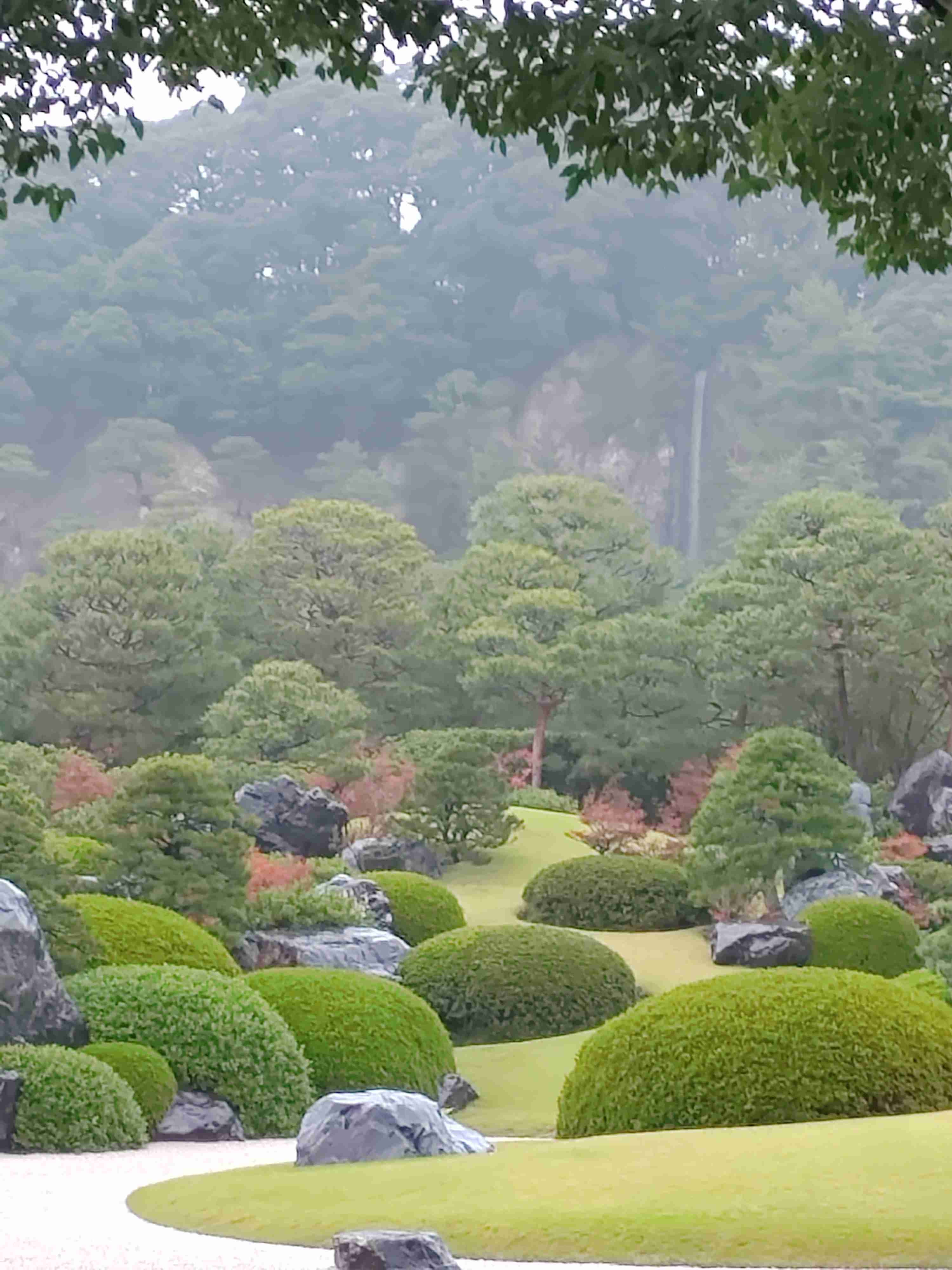 足立美術館1位、22年連続　米誌の日本庭園ランキング