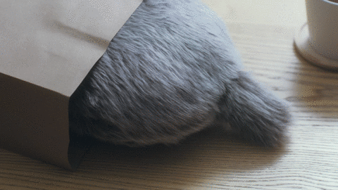 【トイ、AI、ぬいぐるみ】疑似ペットってどうですか?