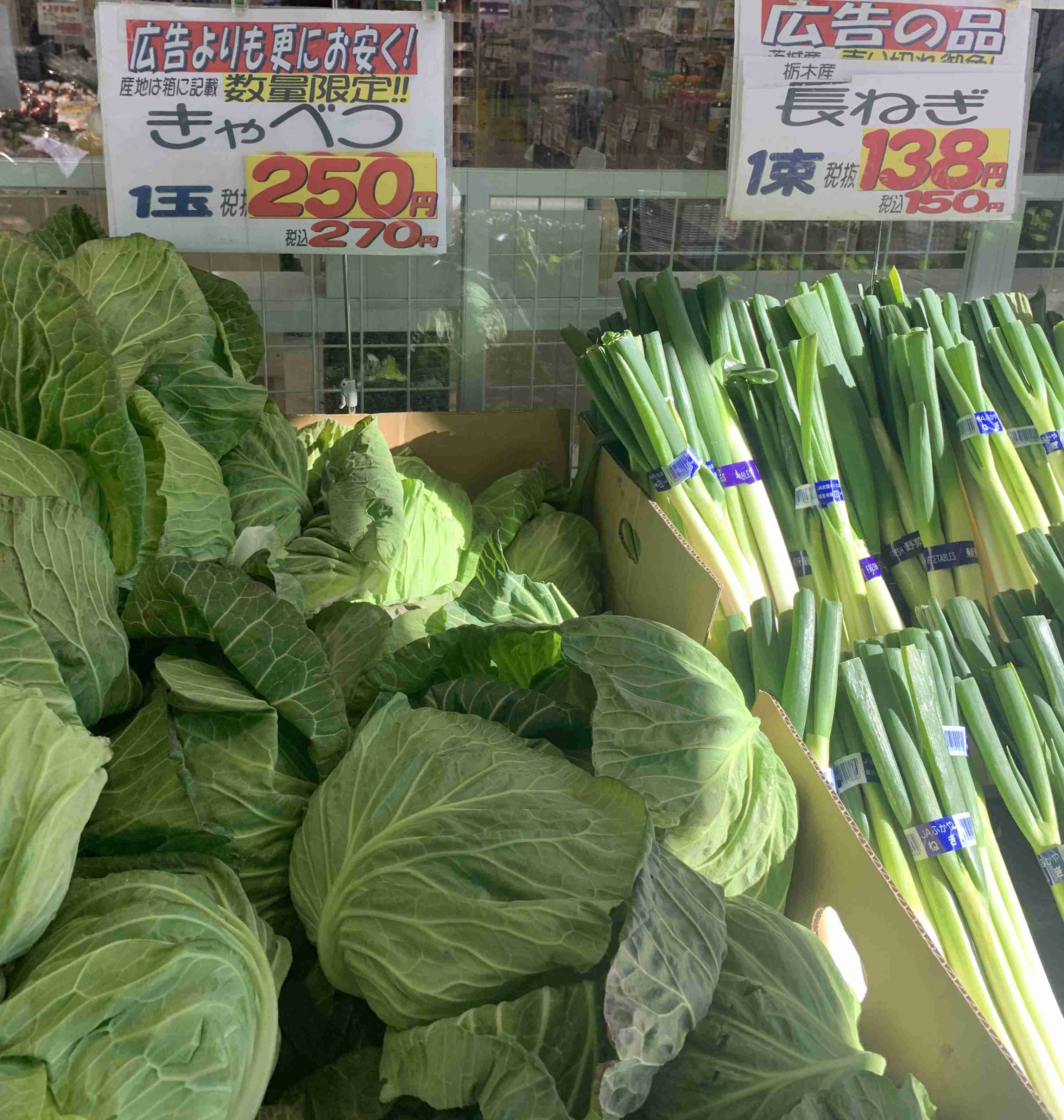キャベツの値上がり「年金生活者」「生活保護者」の健康にも影響…「経済的・精神的に追いつめられている」深刻な実態とは