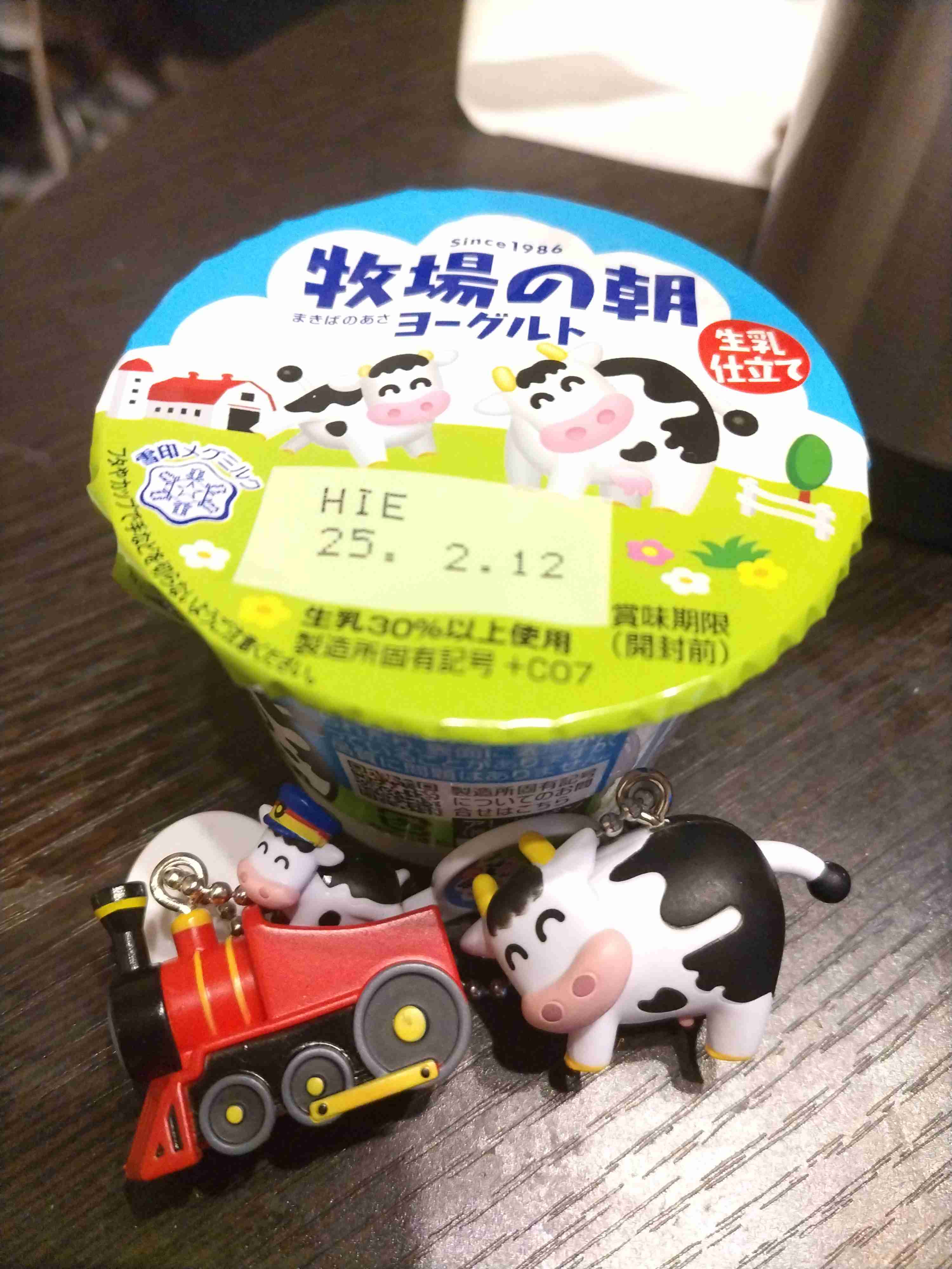 【カプセルトイ】ガチャ写トピ【ガチャポン】