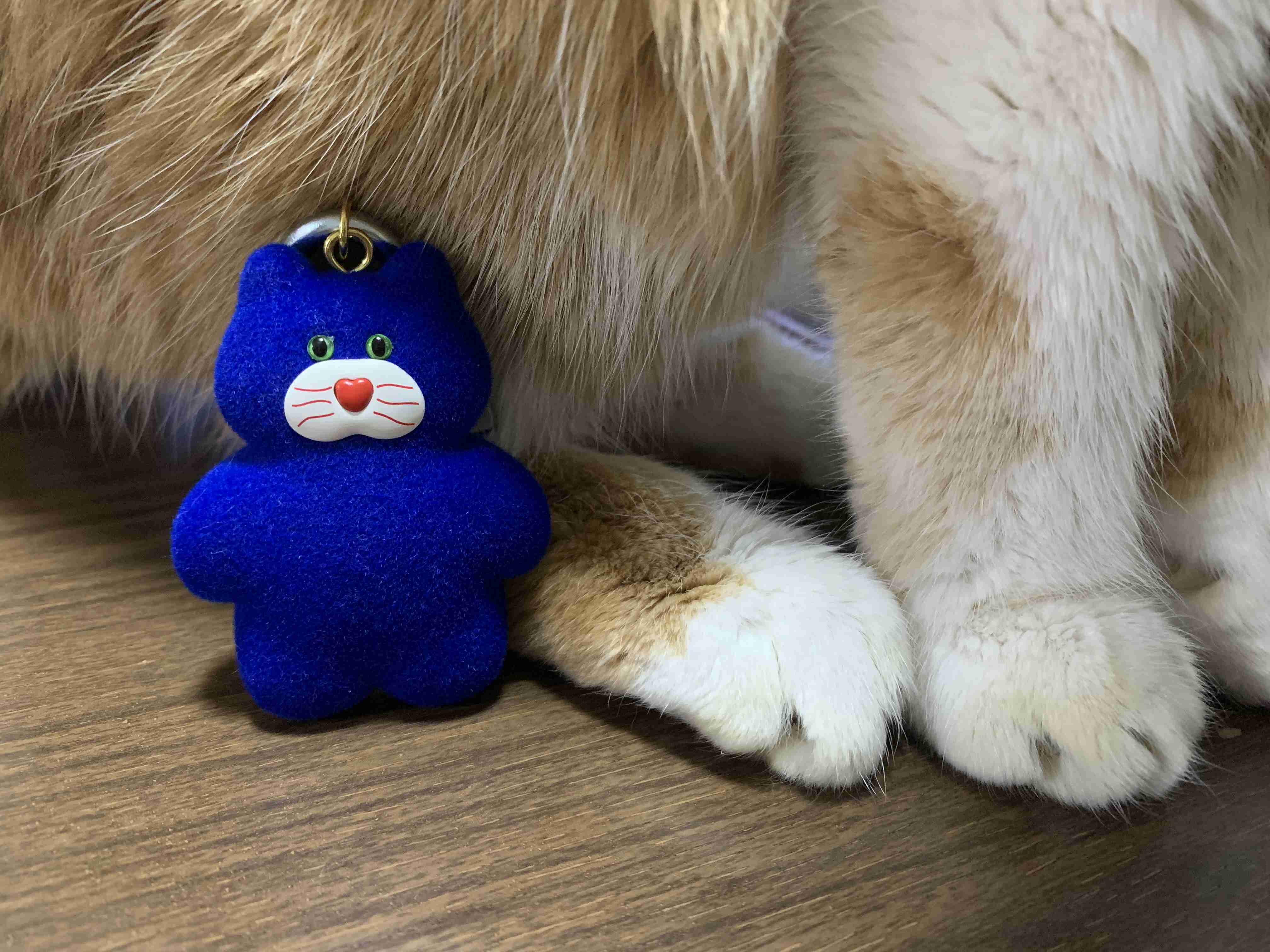 【カプセルトイ】ガチャ写トピ【ガチャポン】