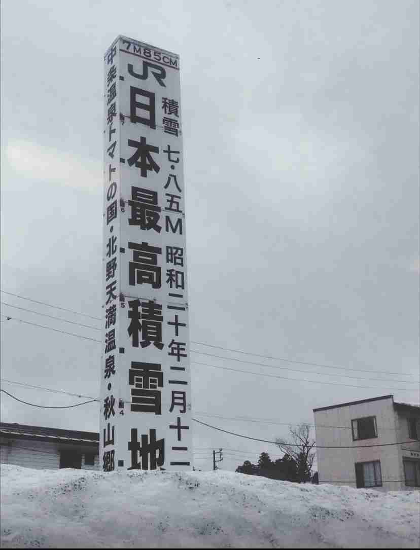 今までの人生で経験した一番の積雪