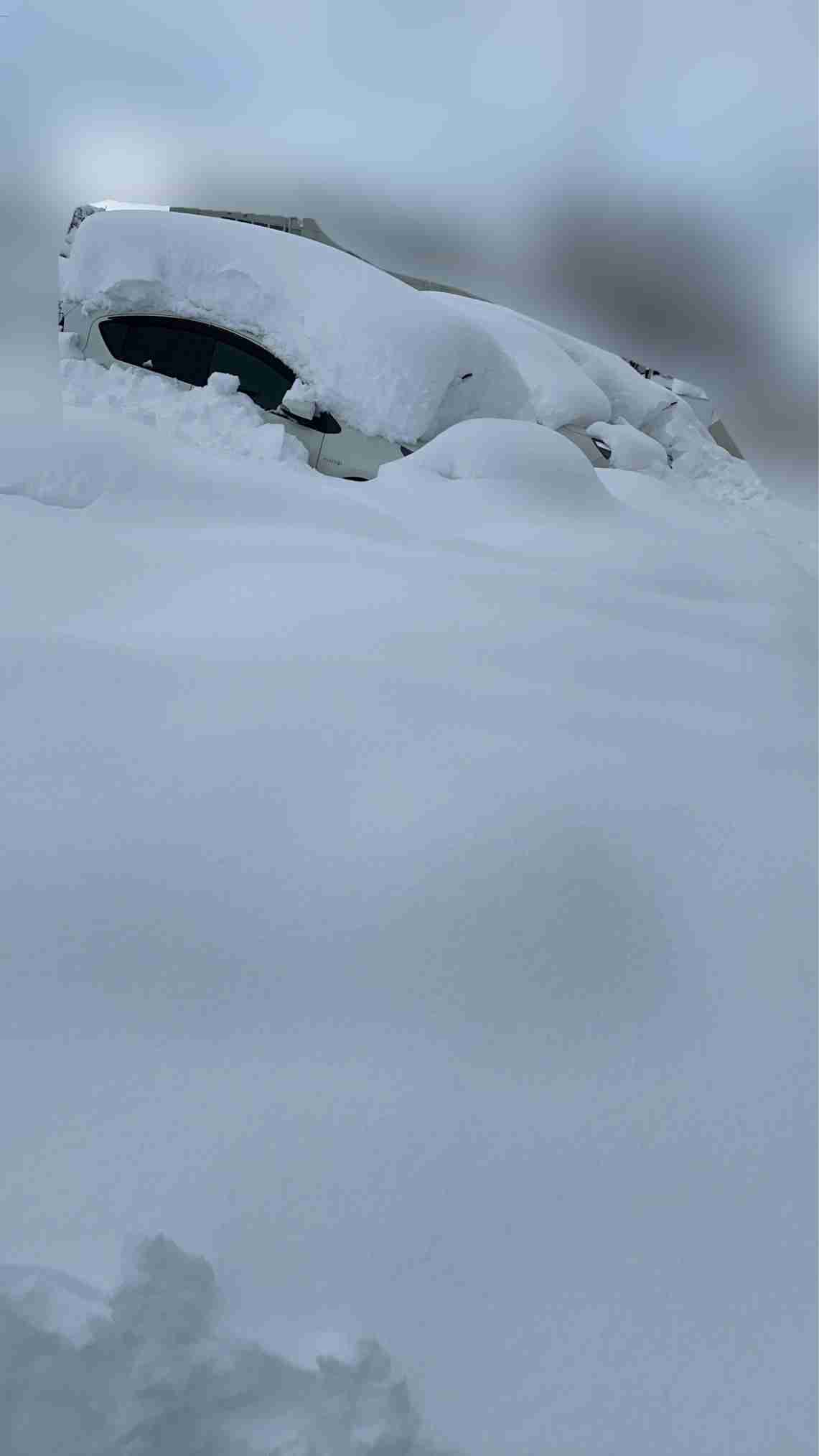 今までの人生で経験した一番の積雪