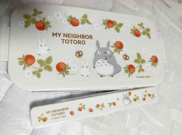 どんなお弁当箱使ってますか?