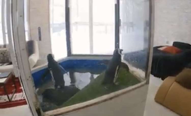 「日本一危険な動物園」、札幌市が「閉園命令」へ…制限区域に無許可で開設20年