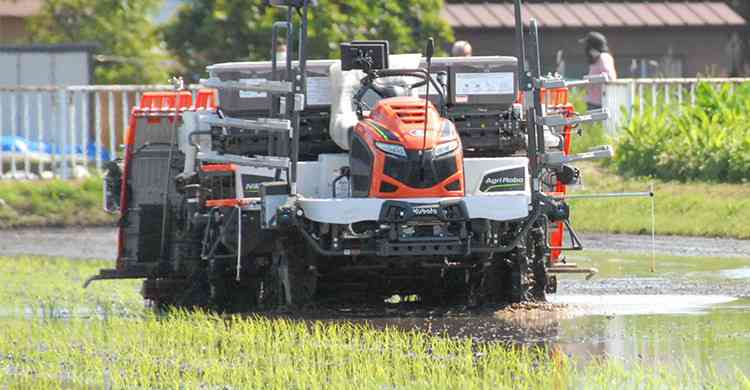 25年コメ生産、29道県で増加　異例判断、価格高騰回避も