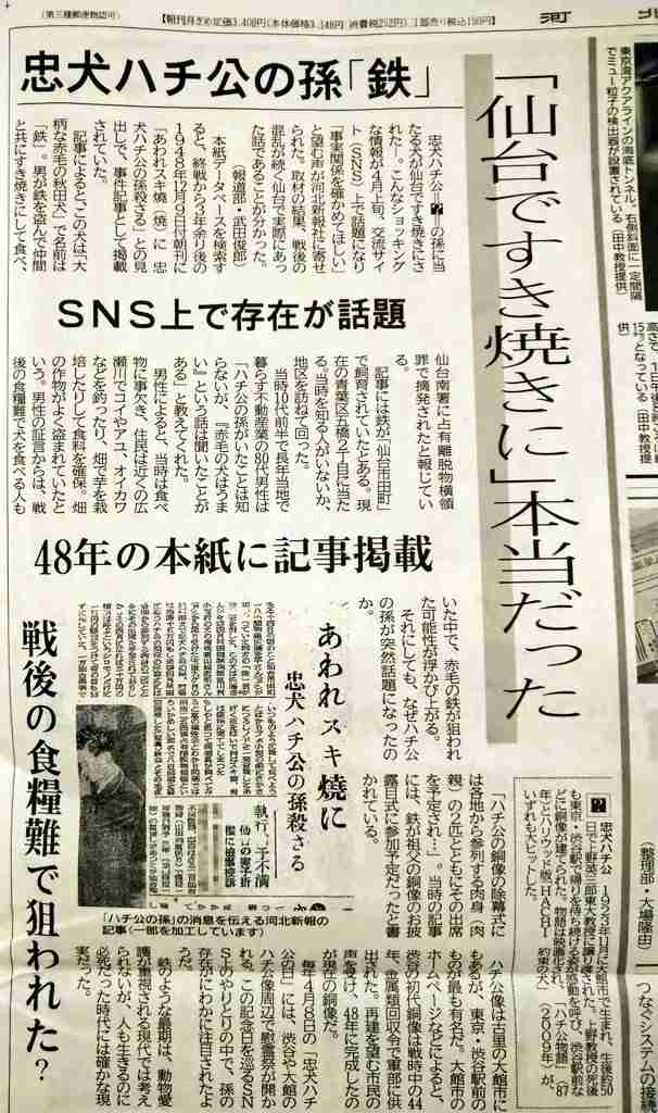デヴィ夫人が新党「12(ワンニャン)平和党」結成 「犬・猫の食用禁止法制化」掲げ、参院選で議席獲得目指す