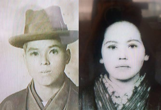 デヴィ夫人が新党「12(ワンニャン)平和党」結成 「犬・猫の食用禁止法制化」掲げ、参院選で議席獲得目指す