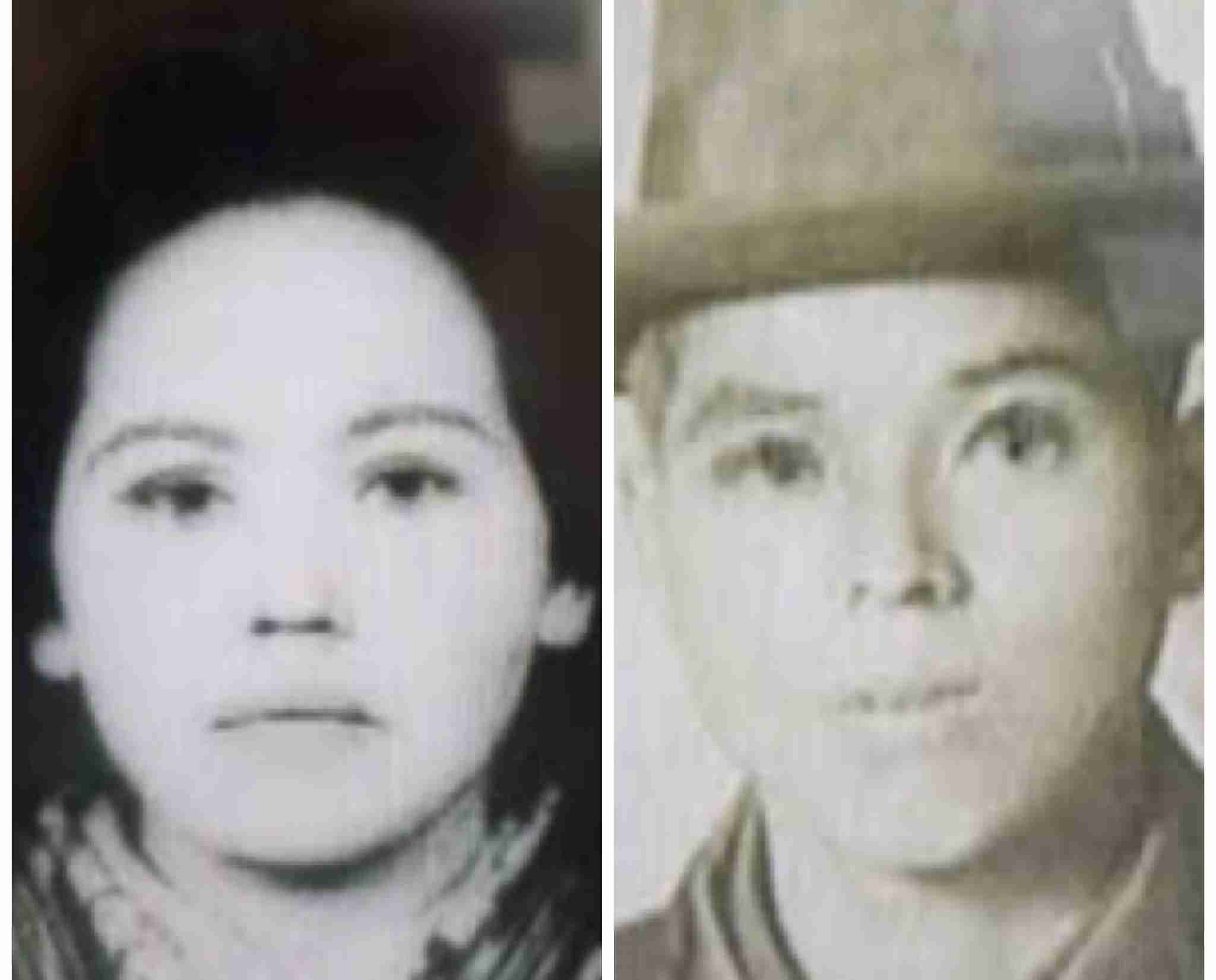 デヴィ夫人が新党「12(ワンニャン)平和党」結成 「犬・猫の食用禁止法制化」掲げ、参院選で議席獲得目指す